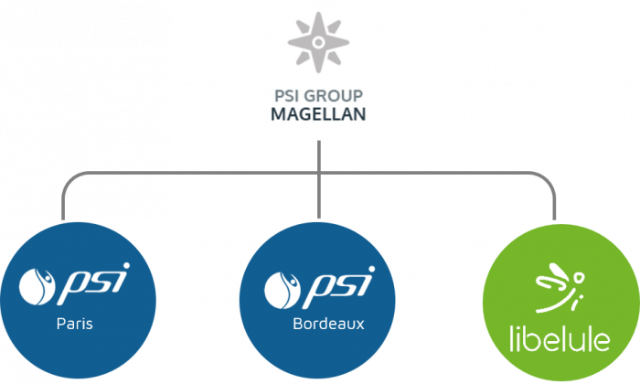 Organigramme magellan 2020 blanc