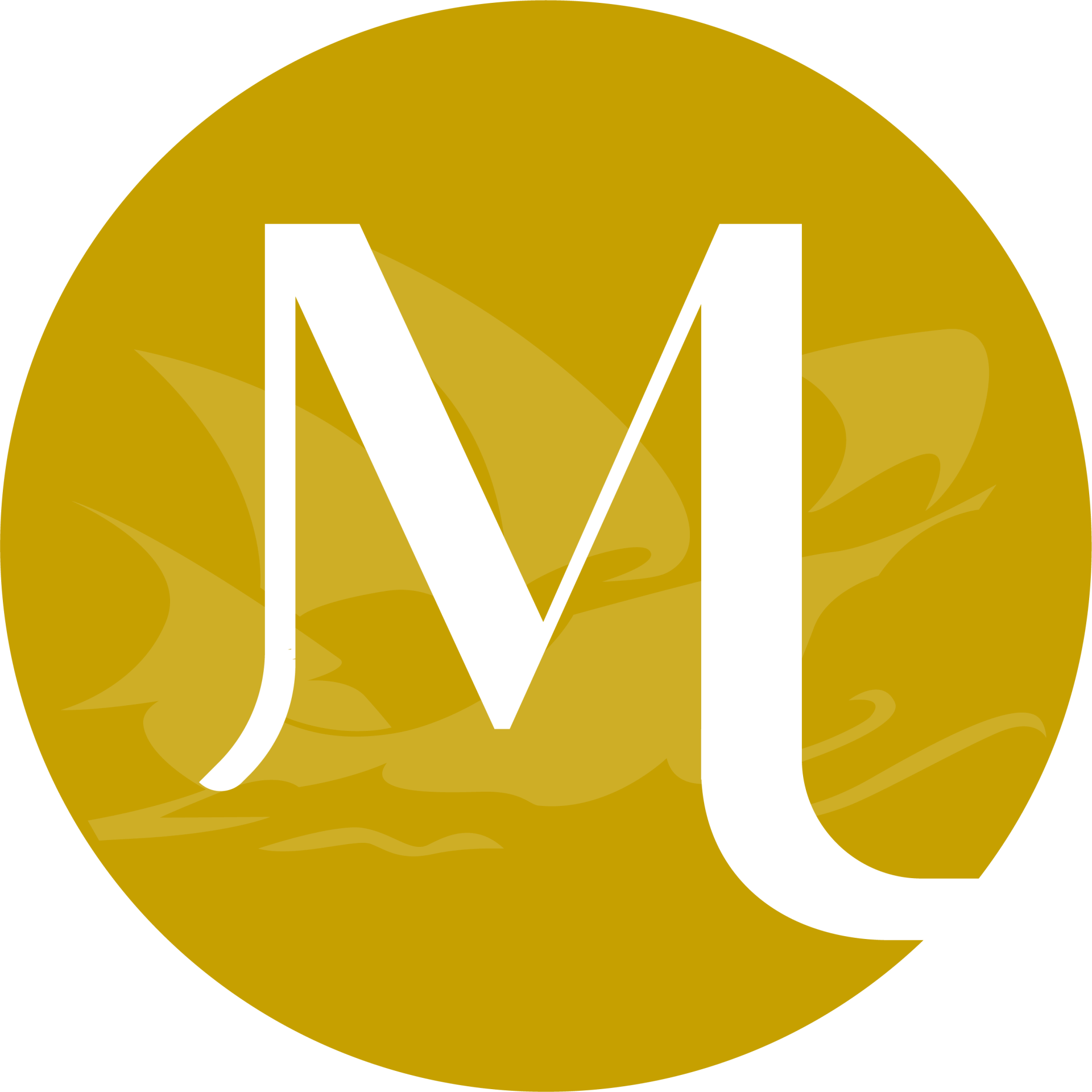 Picto magellan boat gold